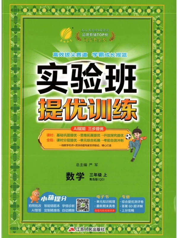 2027《春雨教育•实验班提优训练》（3年级上）（数学）（青岛63版）示意封面