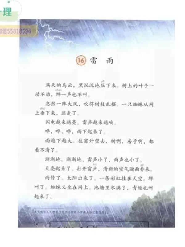 课文里的写作密码（1-6年级上下册）（小学）（语文写作课程）示意封面