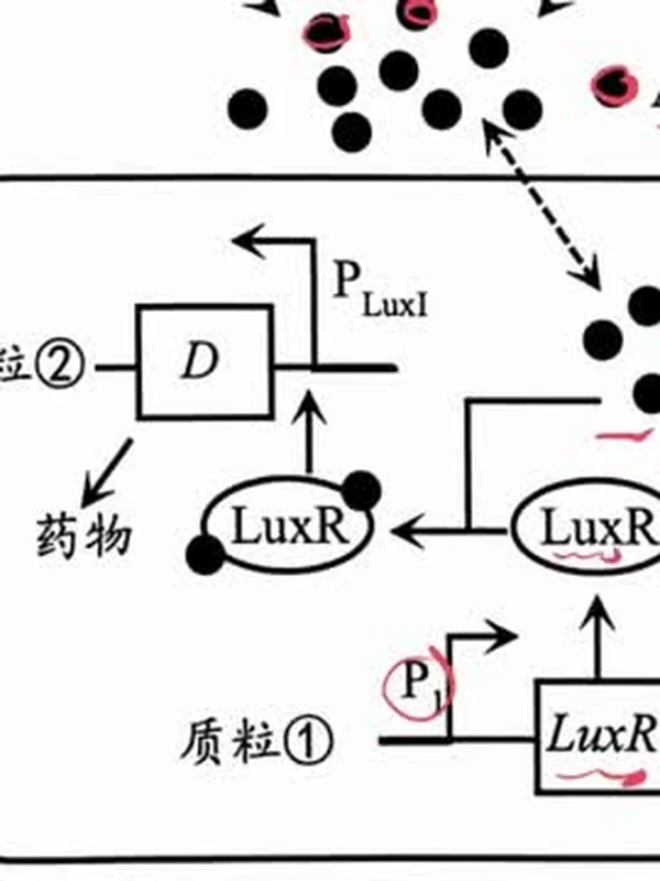 2026版高考《李林生物》——套卷特训篇示意封面