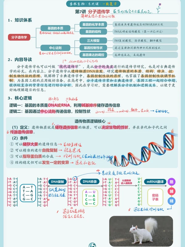 2026版高中《李林课堂笔记》大一轮系统课（标注彩色版）示意封面