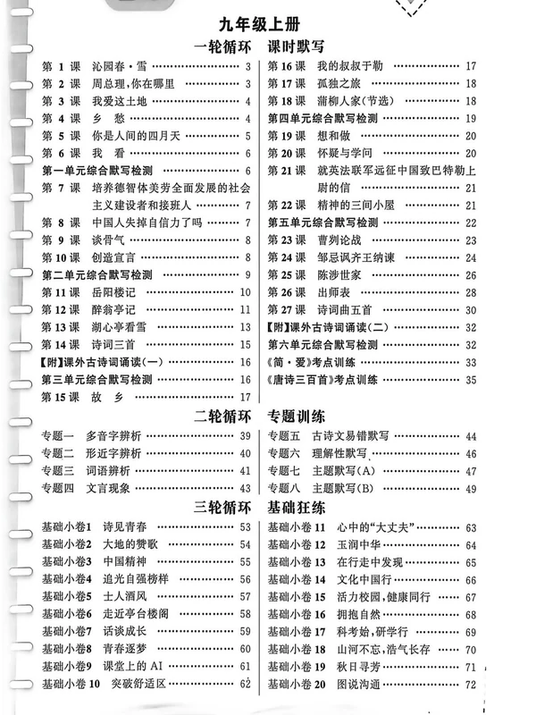 2027《语文花开•三轮循环练》（9年级全一册）（语文）示意封面