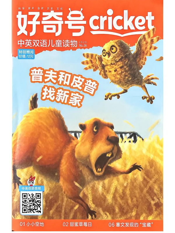 《好奇号》2026示意封面