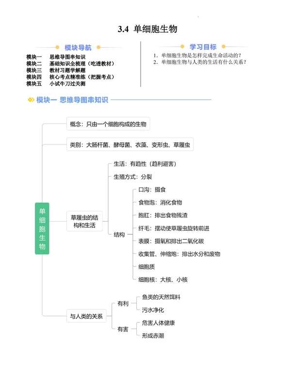 2026【上好课】暑假自学课（7年级上）（生物）（新教材人教版）（完结）示意封面