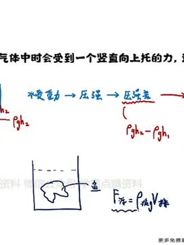 中考-秒杀物理50专题视频【精品】示意封面