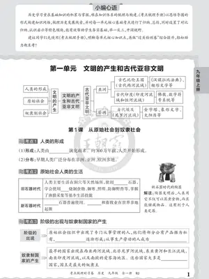 2027《王朝霞•考点梳理时习卷》（9年级全一册）（历史）示意封面