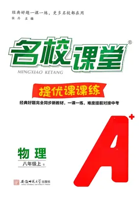 2027《名校课堂》（8年级上）（物理）示意封面