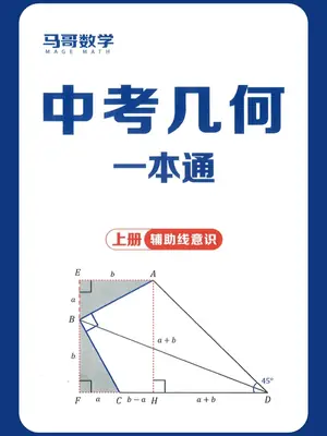 2027版初中《马哥数学几何一本通》上下册（数学）示意封面