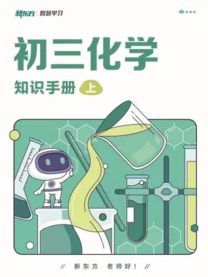 2027《新东方•知识手册》（9年级上）（化学）示意封面