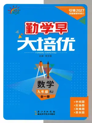 2027《勤学早·大培优》（蓝版）（9年级全一册）（数学）（人教版）示意封面