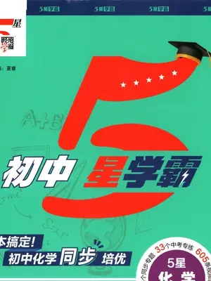 2027《经纶学霸·5星学霸同步培优》（9年级全一册）（化学）示意封面